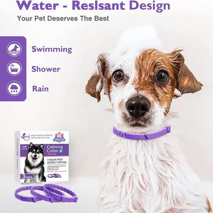 Calming Comfort Pheromone Pet Collar
